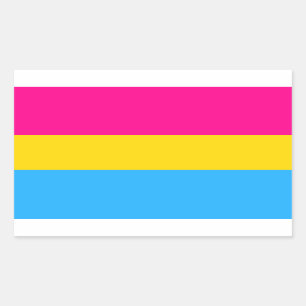 STICKER RECTANGULAIRE "DRAPEAU PANSEXUAL DE FIERTÉ "