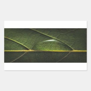Sticker Rectangulaire Droplets feuille