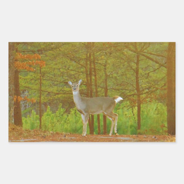 STICKER RECTANGULAIRE DSCF4041.JPG (Devant)