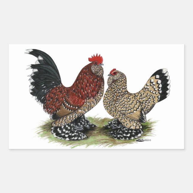 Sticker Rectangulaire D'Uccle Bantams : Mille Fleur (Devant)