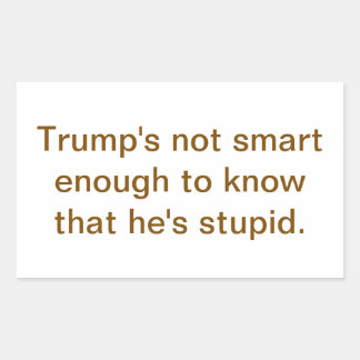 Sticker Rectangulaire Dumb Stupid Trump's Not Smart Hankamer Artjunkhaus