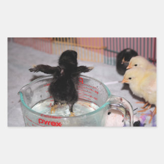 Sticker Rectangulaire Durée du bain