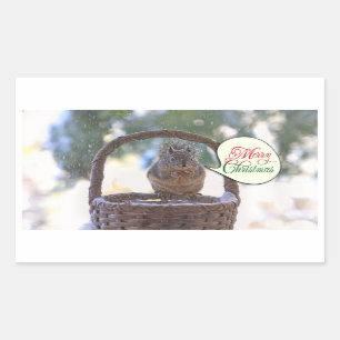 Sticker Rectangulaire Écureuil dans la neige indiquant le Joyeux Noël