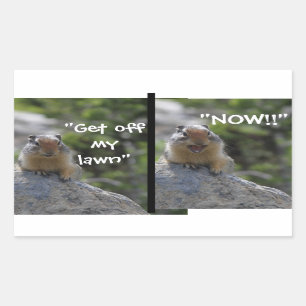 Sticker Rectangulaire Écureuil de terrain amusant Descends de ma pelouse