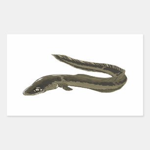 Sticker Rectangulaire Eel