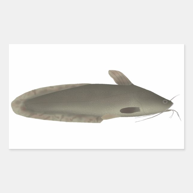 Sticker Rectangulaire Eeltail (Devant)