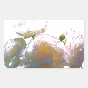 Sticker Rectangulaire Elégant blanc pêche orange roses