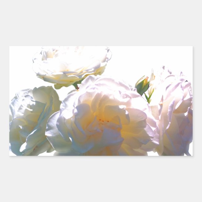 Sticker Rectangulaire Elégant blanc pêche orange roses (Devant)