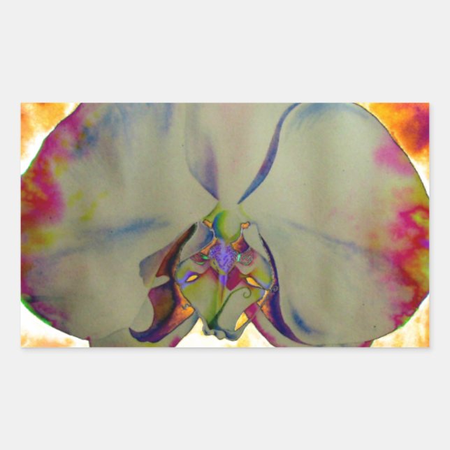 Sticker Rectangulaire Elégant boho abstrait aquarelle orchidée peinture (Devant)