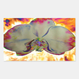 Sticker Rectangulaire Elégant boho abstrait aquarelle orchidée peinture