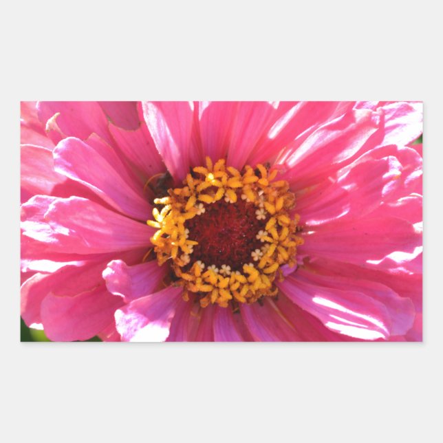 Sticker Rectangulaire Élégant classique floral rose fleur marguerite (Devant)