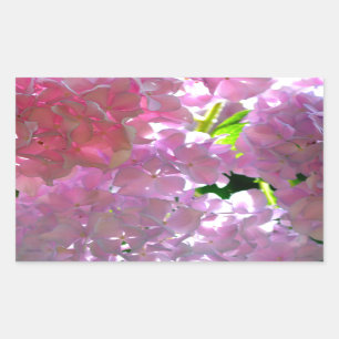 Sticker Rectangulaire Elégant flores rose douce hydrangée rose rose