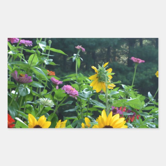 Sticker Rectangulaire Elégant jardin fleuri tournesol zinnia mums (Devant)