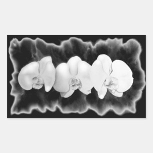 Sticker Rectangulaire Élégant noir blanc tropical orchidées floral