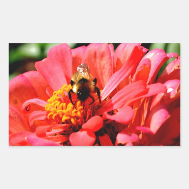Sticker Rectangulaire Elégante corail rouge floral mignonne bourdon bee (Devant)