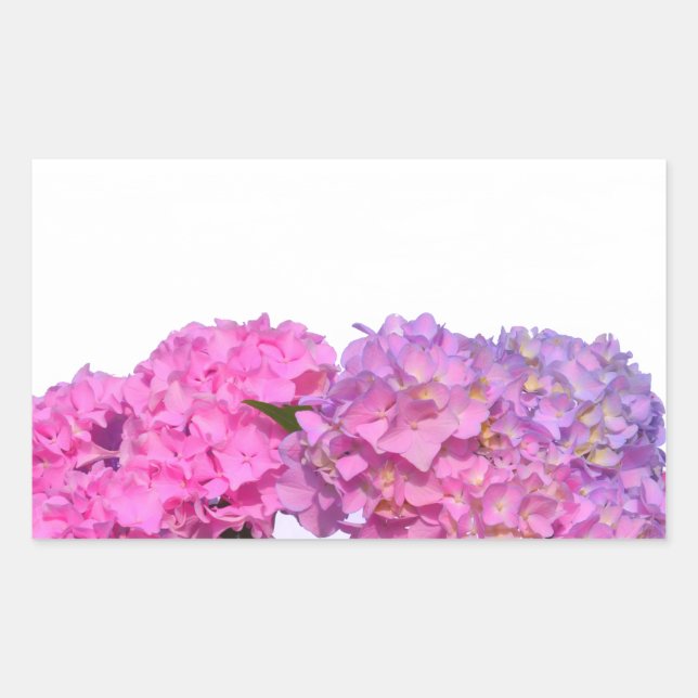 Sticker Rectangulaire Elégante florales violettes roses hydrangées (Devant)