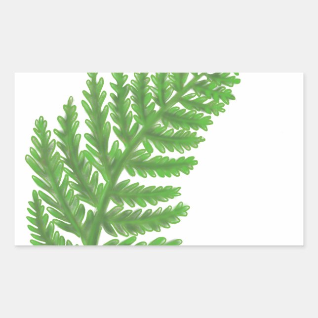 Sticker Rectangulaire Élégante fougères vertes feuilles de bois (Devant)
