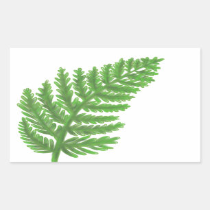 Sticker Rectangulaire Élégante fougères vertes feuilles de bois