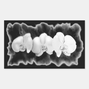 Sticker Rectangulaire Elégante orchidée noire blanche