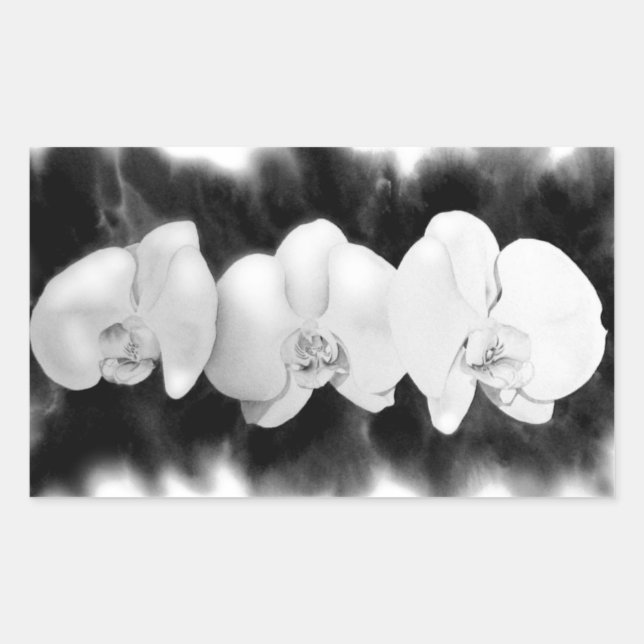 Sticker Rectangulaire Elégante orchidée noire blanche (Devant)