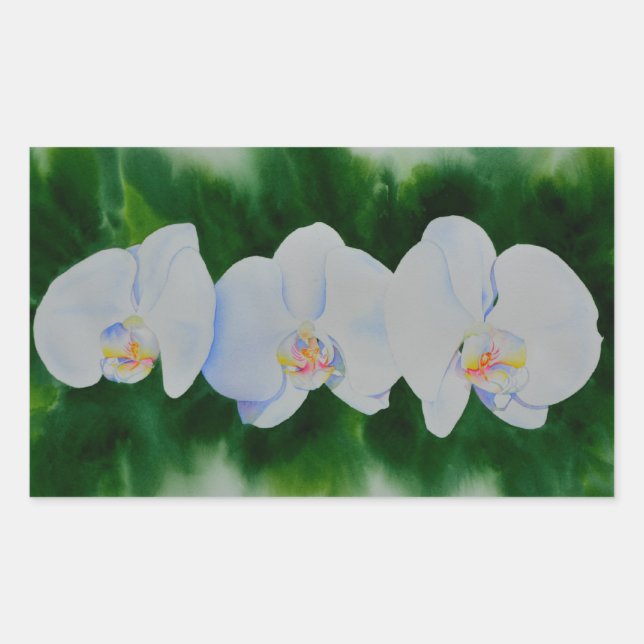 Sticker Rectangulaire Elégante peinture d'orchidée tropicale blanche (Devant)