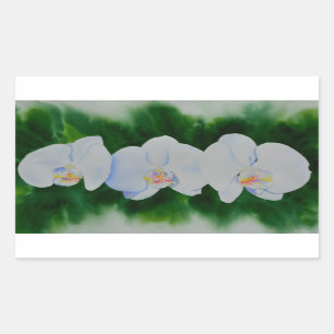 Sticker Rectangulaire Elégante peinture d'orchidée tropicale blanche