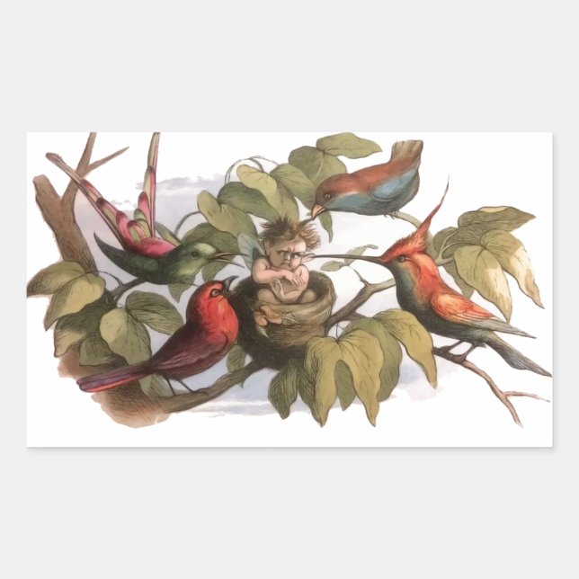 Sticker Rectangulaire Elfe des bois dans le nid : Antique Oiseau Sprite  (Devant)