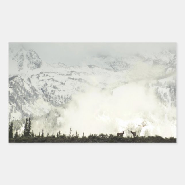 Sticker Rectangulaire Elk at Grand Teton National Park Photographie (Devant)