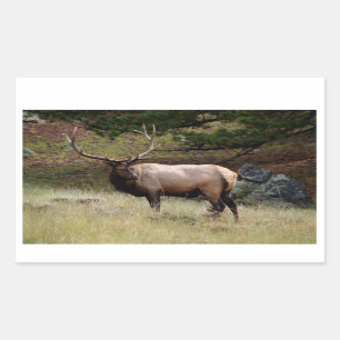 Sticker Rectangulaire Elk dans l'autocollant sauvage
