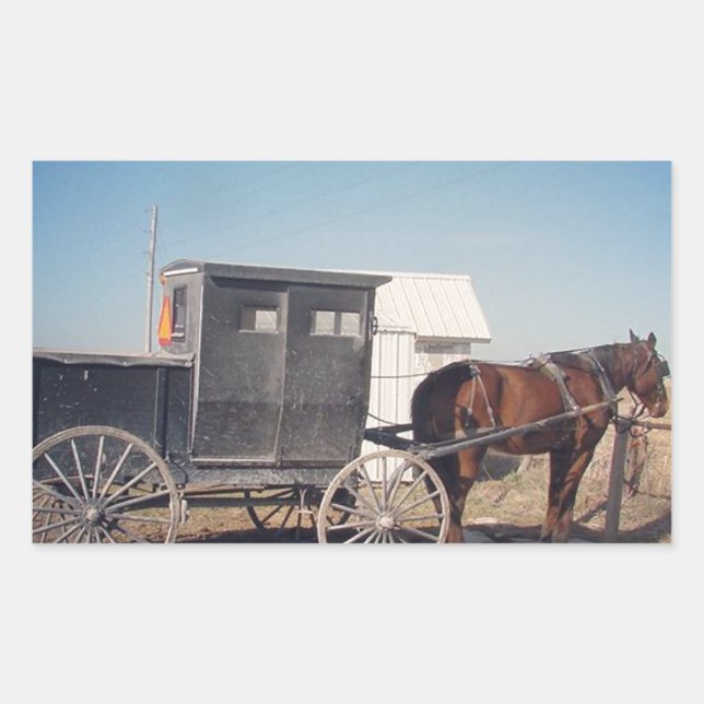 Sticker Rectangulaire En attente Cheval Amish et Buggy (Devant)
