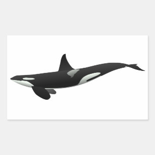 Sticker Rectangulaire Épaulard noir et blanc d'orque
