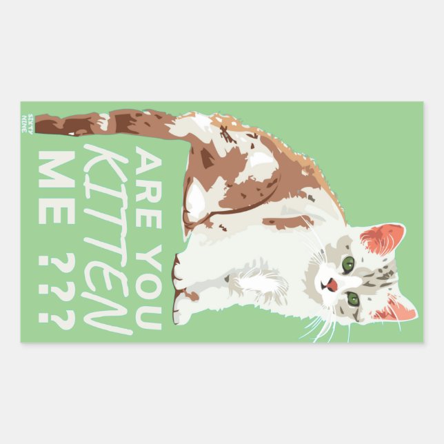 Sticker Rectangulaire "ES-TU EN TRAIN DE ME FAIRE CUIRE" drôle, mignonne (Devant)