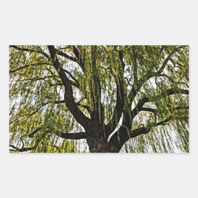 Sticker Rectangulaire espoirs printaniers assourdis (Devant)