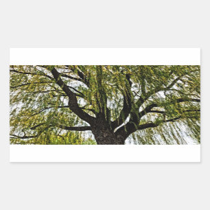 Sticker Rectangulaire espoirs printaniers assourdis