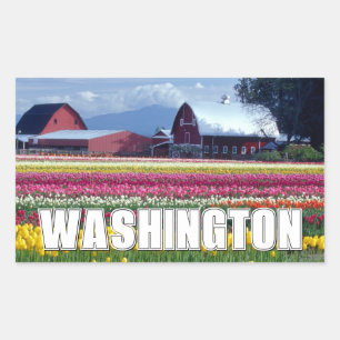 Sticker Rectangulaire État de Washington Champ de tulipes