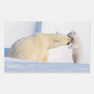 Sticker Rectangulaire États-Unis, Alaska, North Slope   Ours polaires