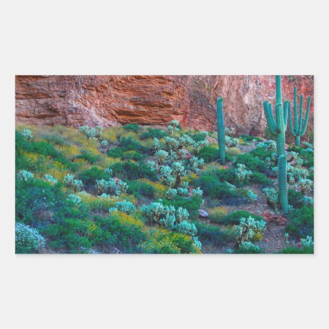 Sticker Rectangulaire États-Unis, Arizona. Flore du désert (Devant)