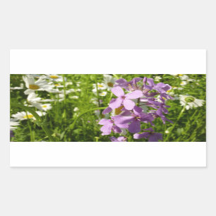 Sticker Rectangulaire Été Lilac et marguerites