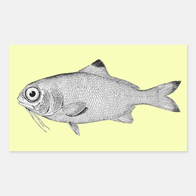 Sticker Rectangulaire Étrange dessin de poisson vintage (Devant)