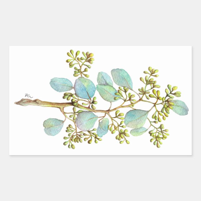 Sticker Rectangulaire Eucalyptus prédéfini 01 (Devant)