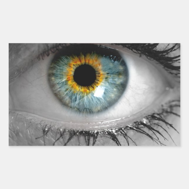 Sticker Rectangulaire Eye recherche la macro de concept du visualiseur (Devant)