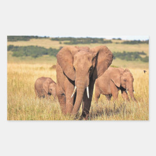 Sticker Rectangulaire Famille d'éléphants dans les buissons