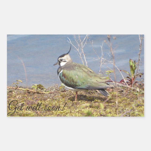 Sticker Rectangulaire Femme lapeuse (Devant)