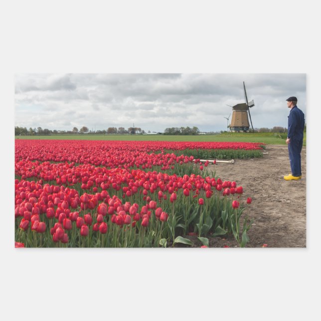 Sticker Rectangulaire Fermier inspectant ses tulipes et son moulin à ven (Devant)