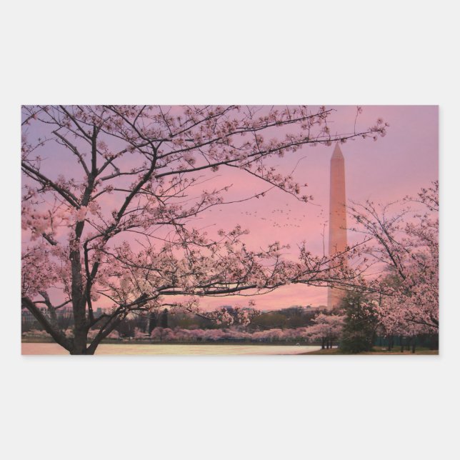 Sticker Rectangulaire Festival Cherry Blossom du Monument de Washington (Devant)