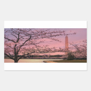 Sticker Rectangulaire Festival Cherry Blossom du Monument de Washington