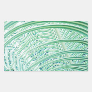 Sticker Rectangulaire Feuille de palme Plante verte douce