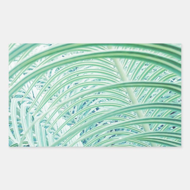 Sticker Rectangulaire Feuille de palmier de plante verte douce (Devant)