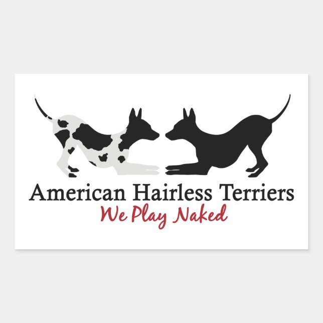 Sticker Rectangulaire Feuilles d'autocollants AHT "We Play" (Devant)