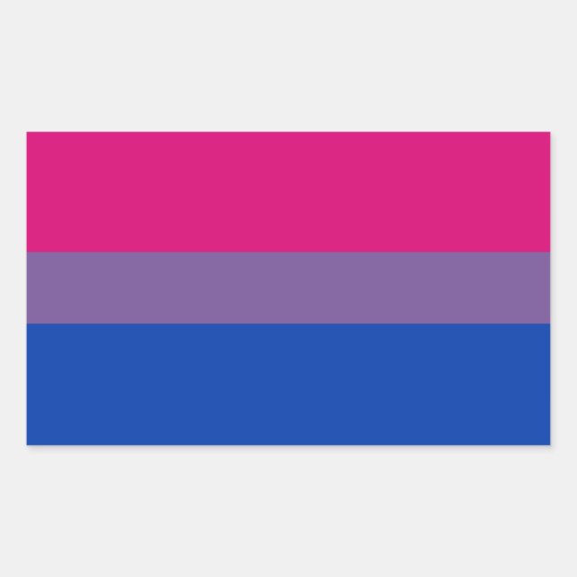 Sticker Rectangulaire Feuilles d'autocollants Bi Pride (Rectangle) (Devant)